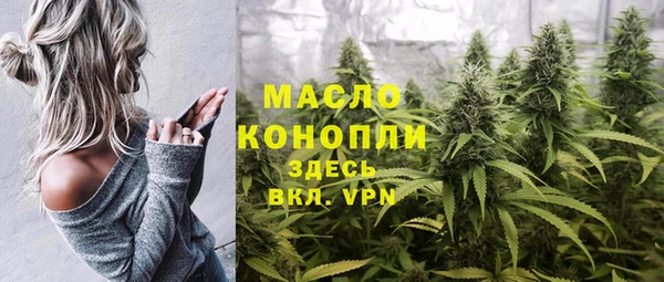дмт Алексин