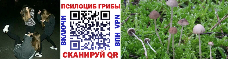 купить закладку  Хадыженск  Галлюциногенные грибы прущие грибы 